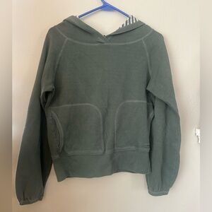 Patagonia Sage Green Organic Cotton Striped Hoodie S